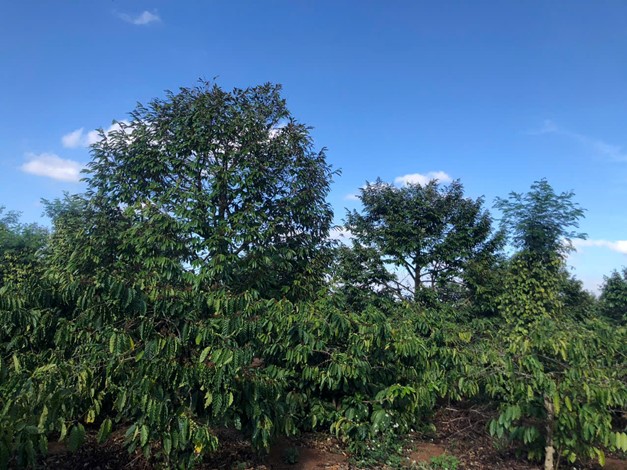 ĐOÀN THANH NIÊN XÃ EA NA TRIỂN KHAI CHƯƠNG TRÌNH CHO VAY HỘ GIA ĐÌNH SẢN XUẤT, KINH DOANH TẠI VÙNG KHÓ KHĂN MANG LẠI CƠ HỘI THOÁT NGHÈO BỀN VỮNG, NÂNG CAO THU NHẬP CHO NHIỀU HỘ DÂN